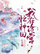 云深情浅全章节免费阅读 主角陆云