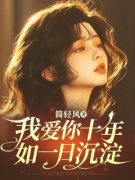 小说我爱你十年如一日沉淀宋优宁沈慕年章节免费免费试读地址