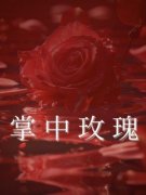 《掌中玫瑰》完结版在线试读 《掌中玫瑰》最新章节目录