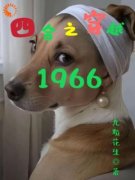 《林四海傻柱》小说全文精彩试读