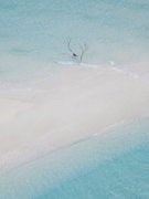 《沈莉潘文》沈姐不好惹完结版在