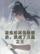 琉光凤玄桑宁章节 琉光凤玄桑宁小