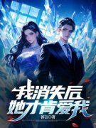 《我消失后，她才肯爱我》小说章
