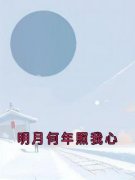 《明月何年照我心》姜念夏陆时越
