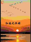 《贾敏贾妍》红楼之换嫁章节目录