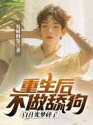 周辰白舒雅主角重生后不做舔狗，