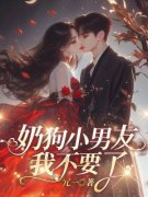 宋尧漫许肆也全章节免费在线阅读