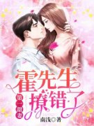 主角是一不小心撩到了传说中的大