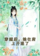 主角是徐婉宗锦澄的小说 《穿越后
