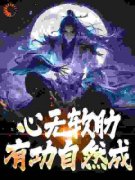 《江楠夏婉清》小说大结局在线试