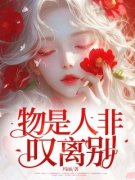 物是人非叹离别书名叫什么_秦婉陆