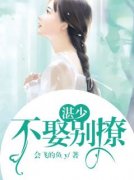 《湛少：不娶别撩》小说完结版在