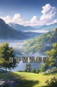 昔年情谊都随风(主角苏沐何君野