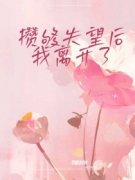 《攒够失望后，我离开了》小说章