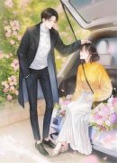 《林晚夏江肆年》小说在线阅读 《
