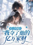 《沈从心段宴苏樱》小说大结局免
