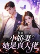 娇宠：小娇妻她是真大佬小说 《任