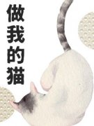 《做我的猫》沈郁沈鸢小说全本免