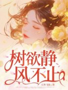 《薄言向榆》小说章节在线试读 树欲静风不止小说阅读
