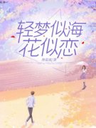 好书推荐《轻梦似海花似恋》林晓
