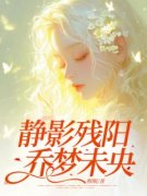 《静影残阳，乔梦未央》小说章节