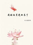 《秦萱沈书晏》小说章节列表在线