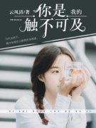 《你是我的触不可及》小说免费阅
