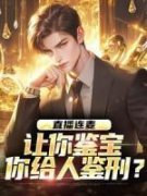 主角是秦夜江小道的小说 《直播连麦：让你鉴宝，你给人鉴刑？》 全文精彩阅