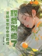 程总别追了，姜秘书不复合不原谅完整版全文阅读 姜心仪程安北 大结局
