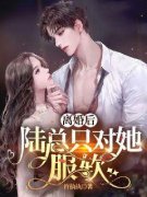 离婚后，陆总只对她服软完整版全