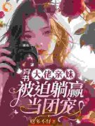 《袁央央袁袅袅》小说全文免费阅