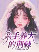 《林尽染沈淮周济琛》小说在线阅