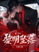 《黎明坠落》姜毅明许黎章节免费