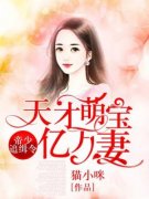 《帝少追缉令，天才萌宝亿万妻》