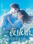 《一夜成婚，竹马老公宠不停！》