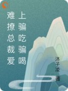 《陆瑶南文熠》小说完结版精彩阅