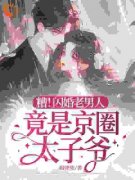 《顾晚晚傅野》小说章节目录精彩