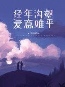 经年沟壑，爱意难平甘茴贺淮小说