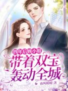 《四年后，顾小姐带着双宝轰动全
