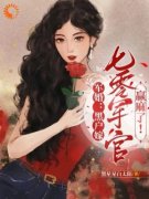 新书《军婚：黑户嫁七零军官赢麻