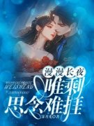 《漫漫长夜，唯剩思念难捱》小说完结版免费试读 苏亦尧青柠小说阅读
