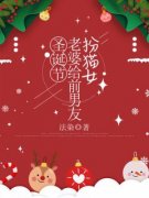 《柳如烟黎漫于洋》小说大结局在