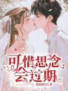 《伊念谢景川》小说章节在线阅读 可惜思念会过期小说全文