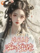 《穿越之锦年追妻满时空跑》林苏司锦年大结局精彩阅读