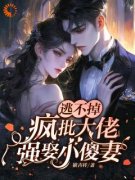《逃不掉！疯批大佬强娶小傻妻！