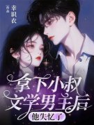 阮雨棠虞景述拿下小叔文学男主后