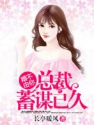 《婚不由你：总裁蓄谋已久》小说