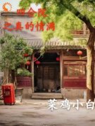 《四合院之真的情满》全文免费章节在线试读 李新民李怀德小说