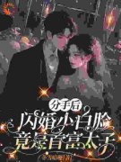 《分手后，闪婚小白脸竟是首富太子》小说章节目录精彩试读 乔以棠沈藏小说