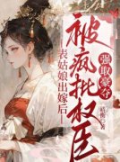 《表姑娘出嫁后，被疯批权臣强取